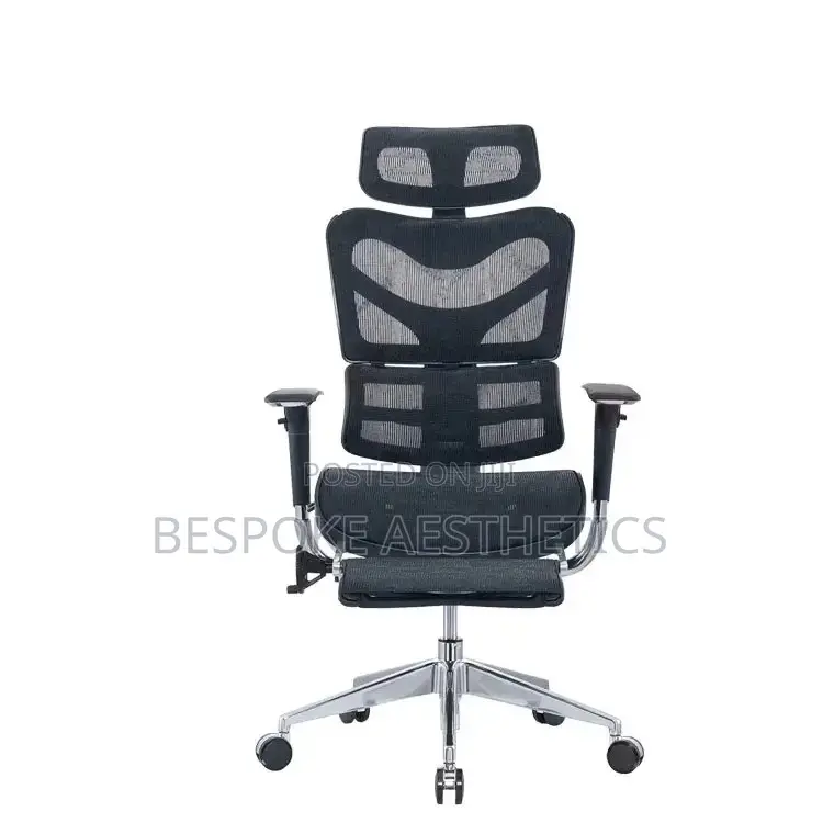 Executive Ergonomic Mesh Office Chair, With Foot Rest