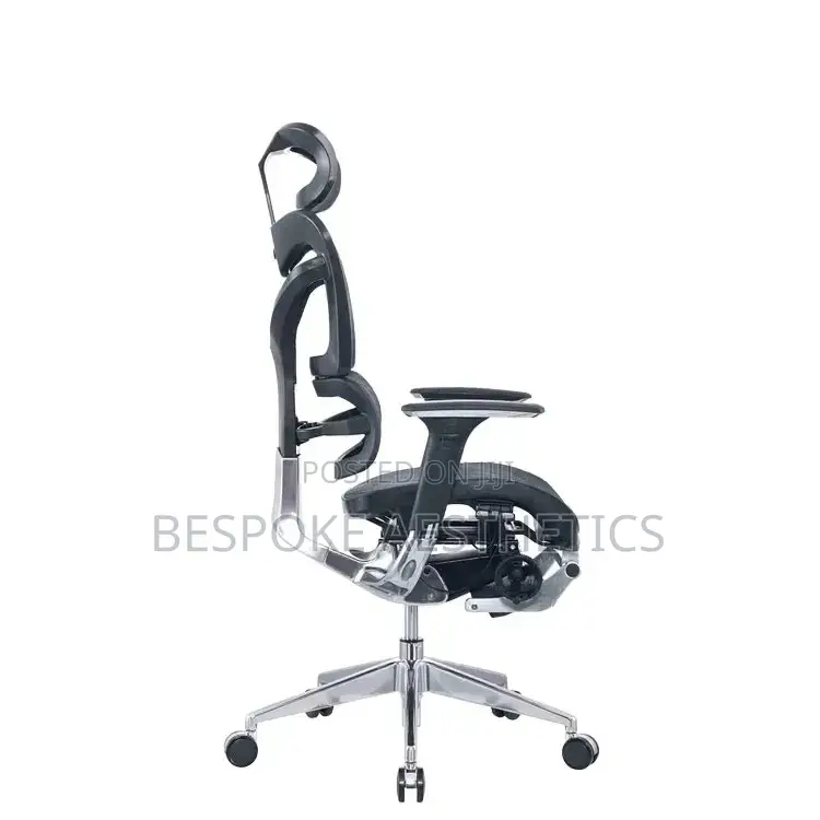 Executive Ergonomic Mesh Office Chair, With Foot Rest
