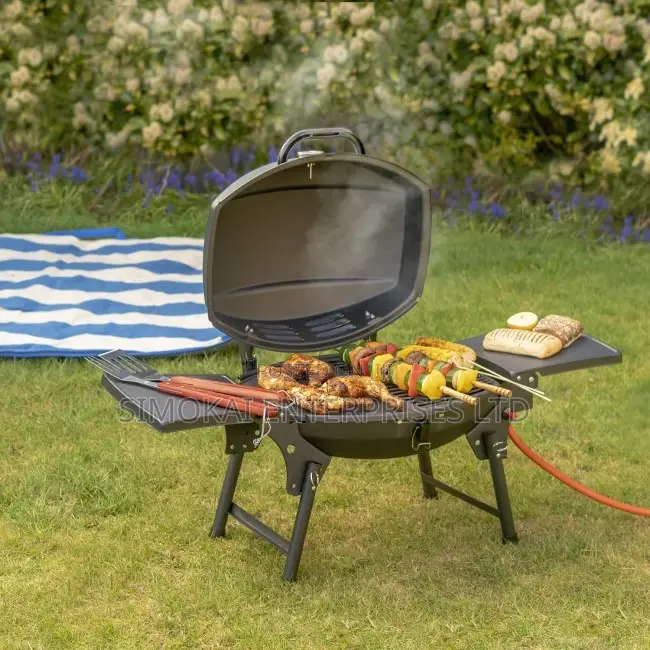 Portable Single Burner Gas BBQ Grill