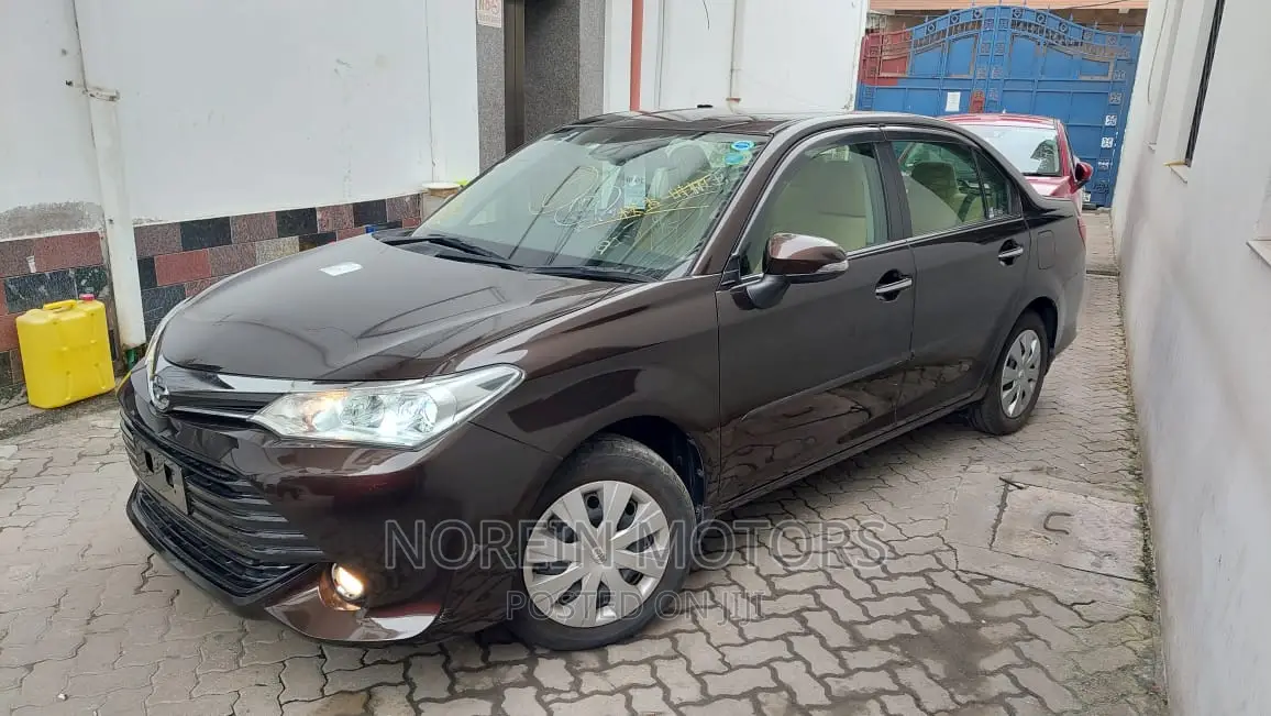Toyota Axio 2017 Brown