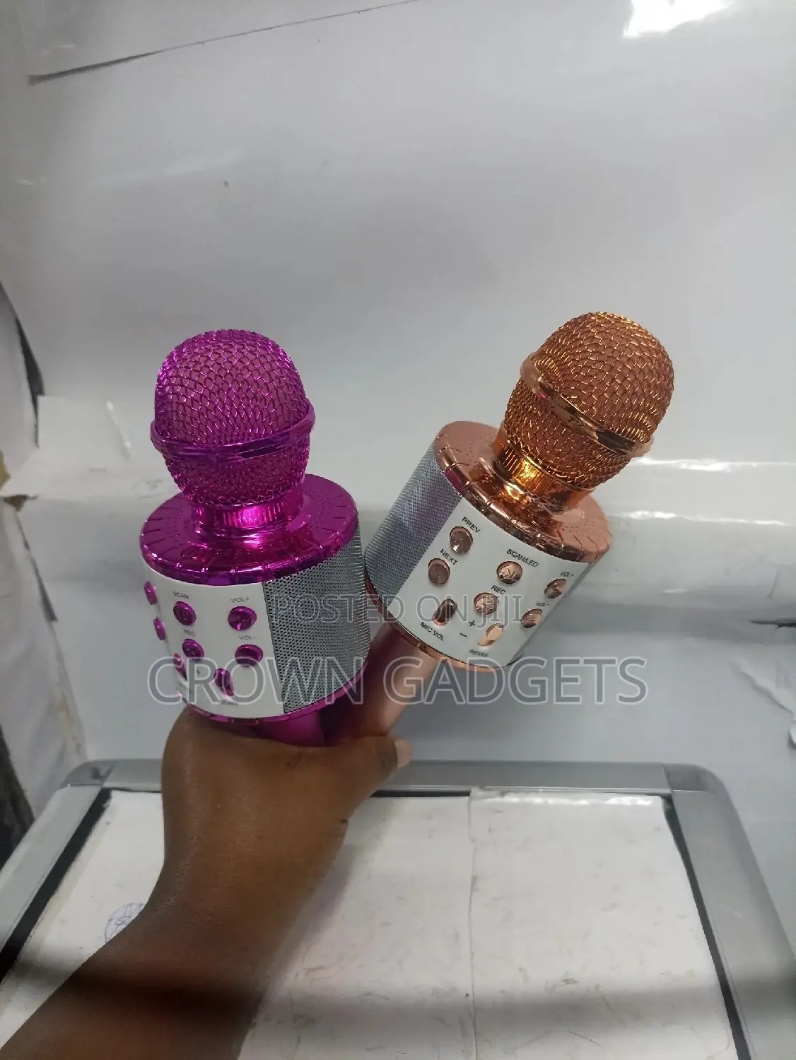 Karaoke Kids Microphone