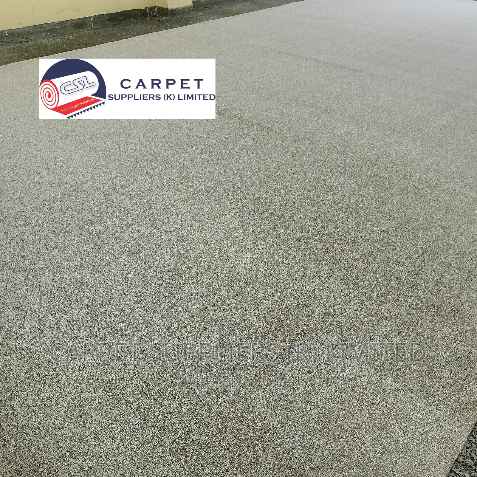 White Wall to Wall Carpet