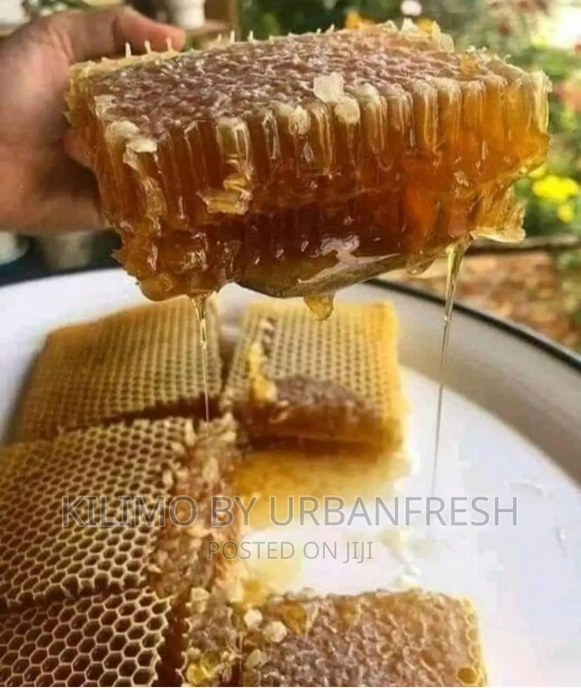 Honey Combs With Honey 1 Kg