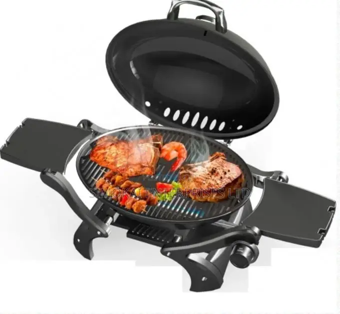 Deluxe Portable Gas Barbecue