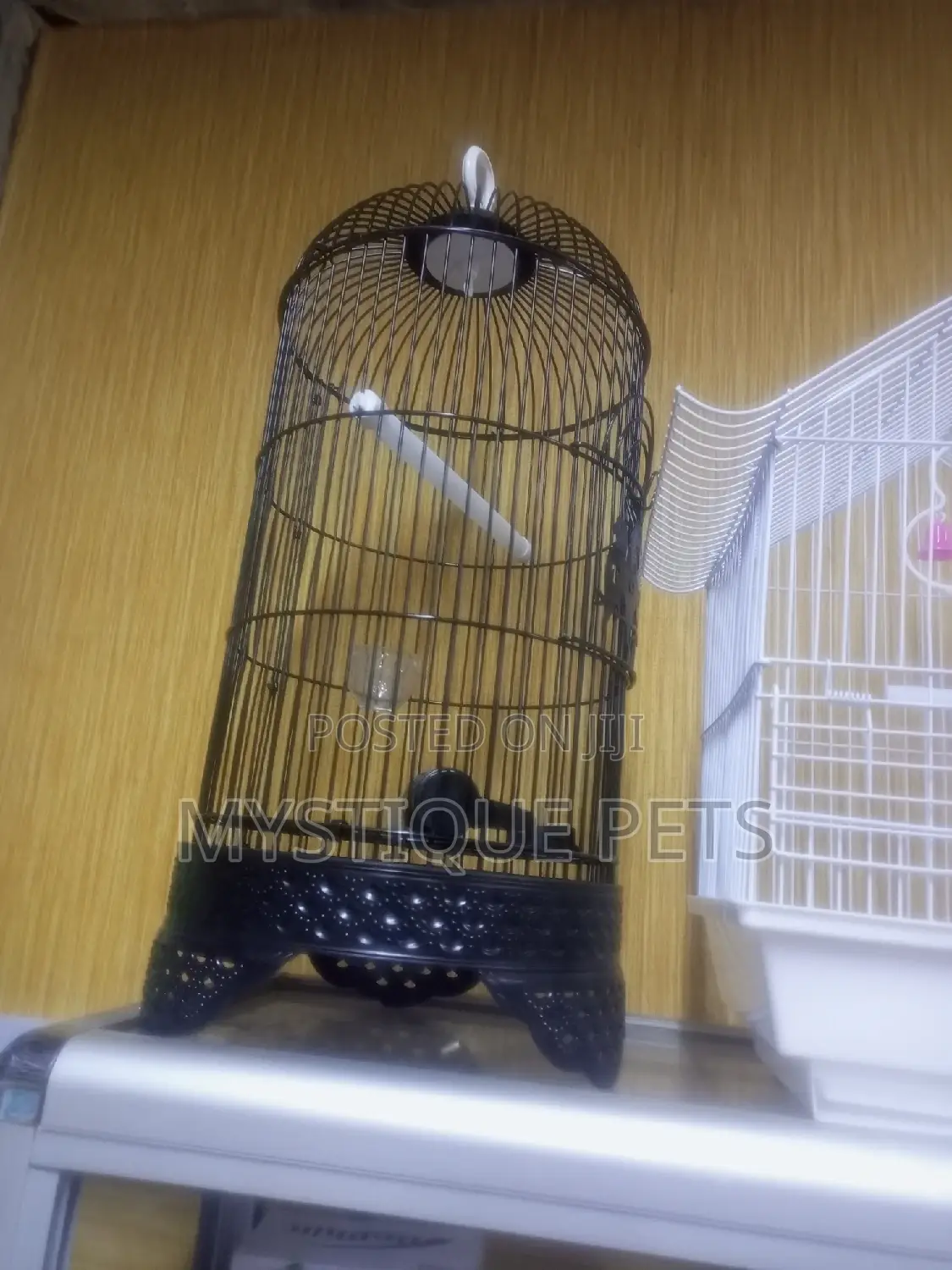 Bird _Cages