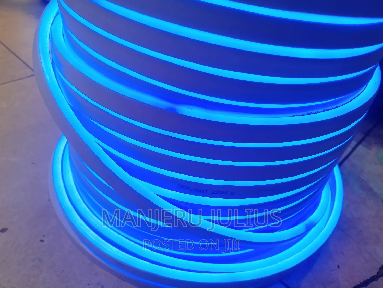 Blue Neon Snake Light