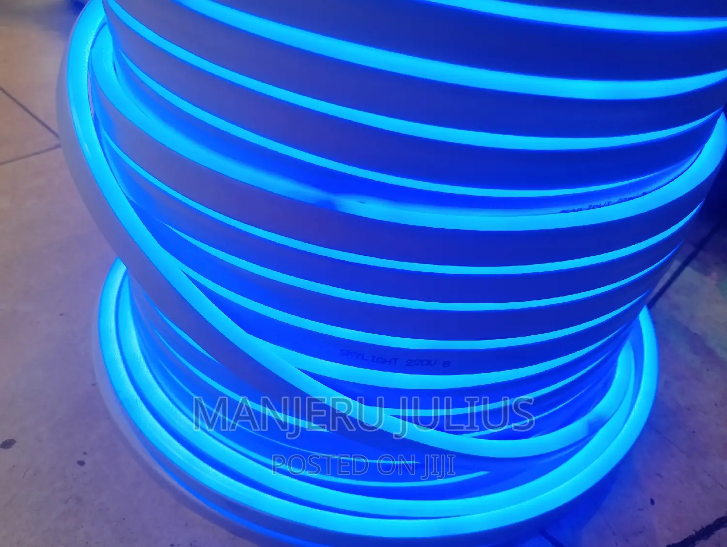 Blue Neon Snake Light