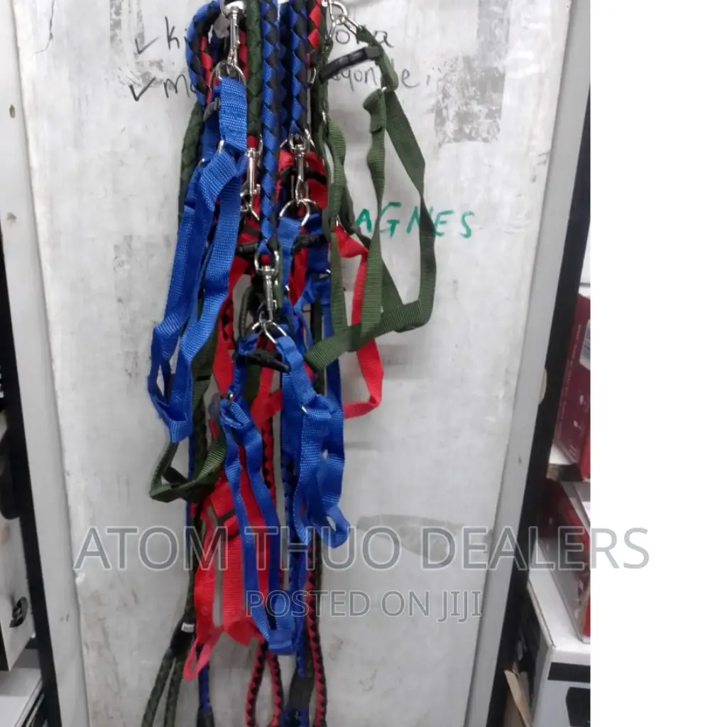 Chiwawa/Puppy/Dog Leash 