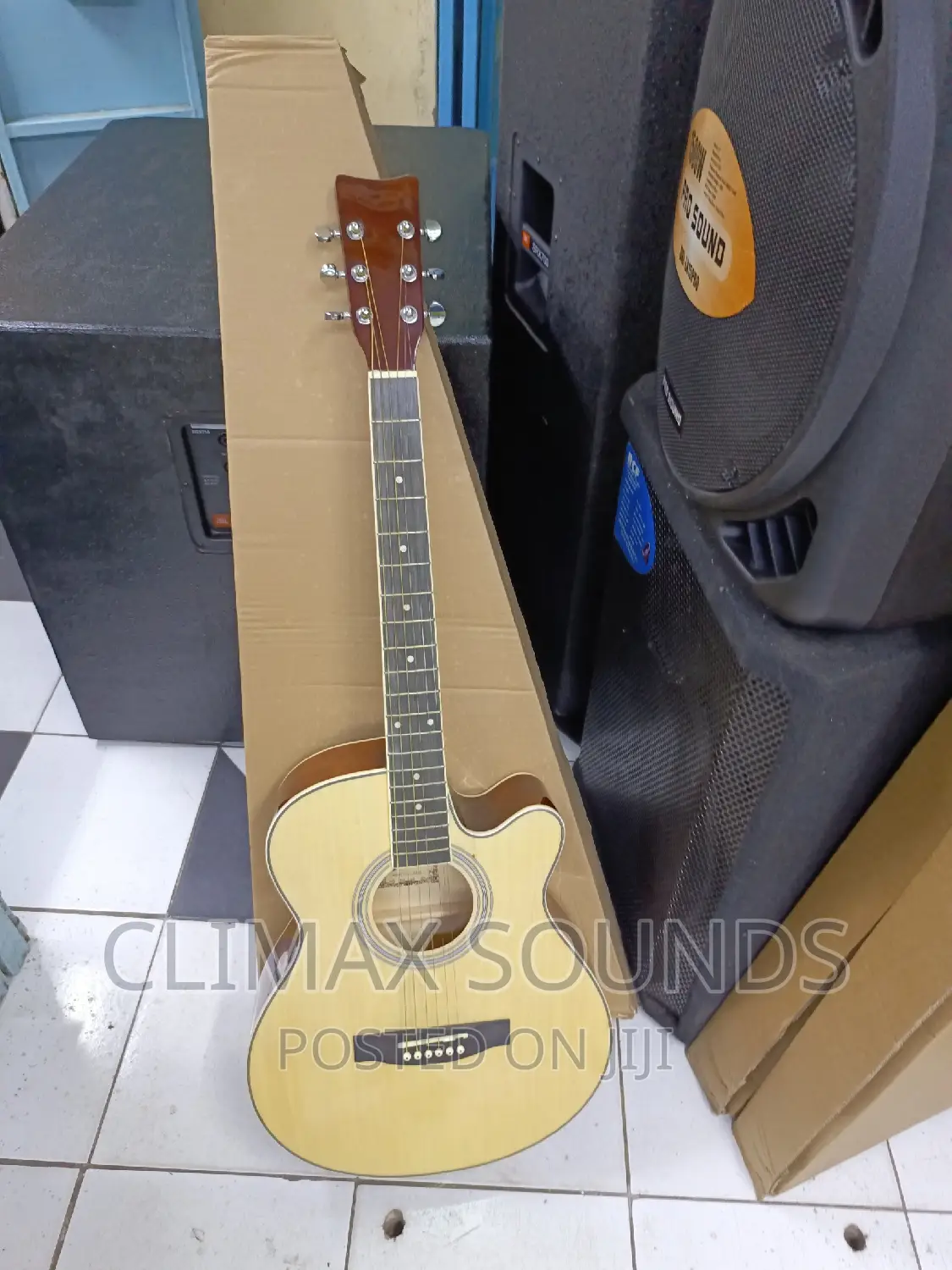 Acoustic Guitar Ibanezs
