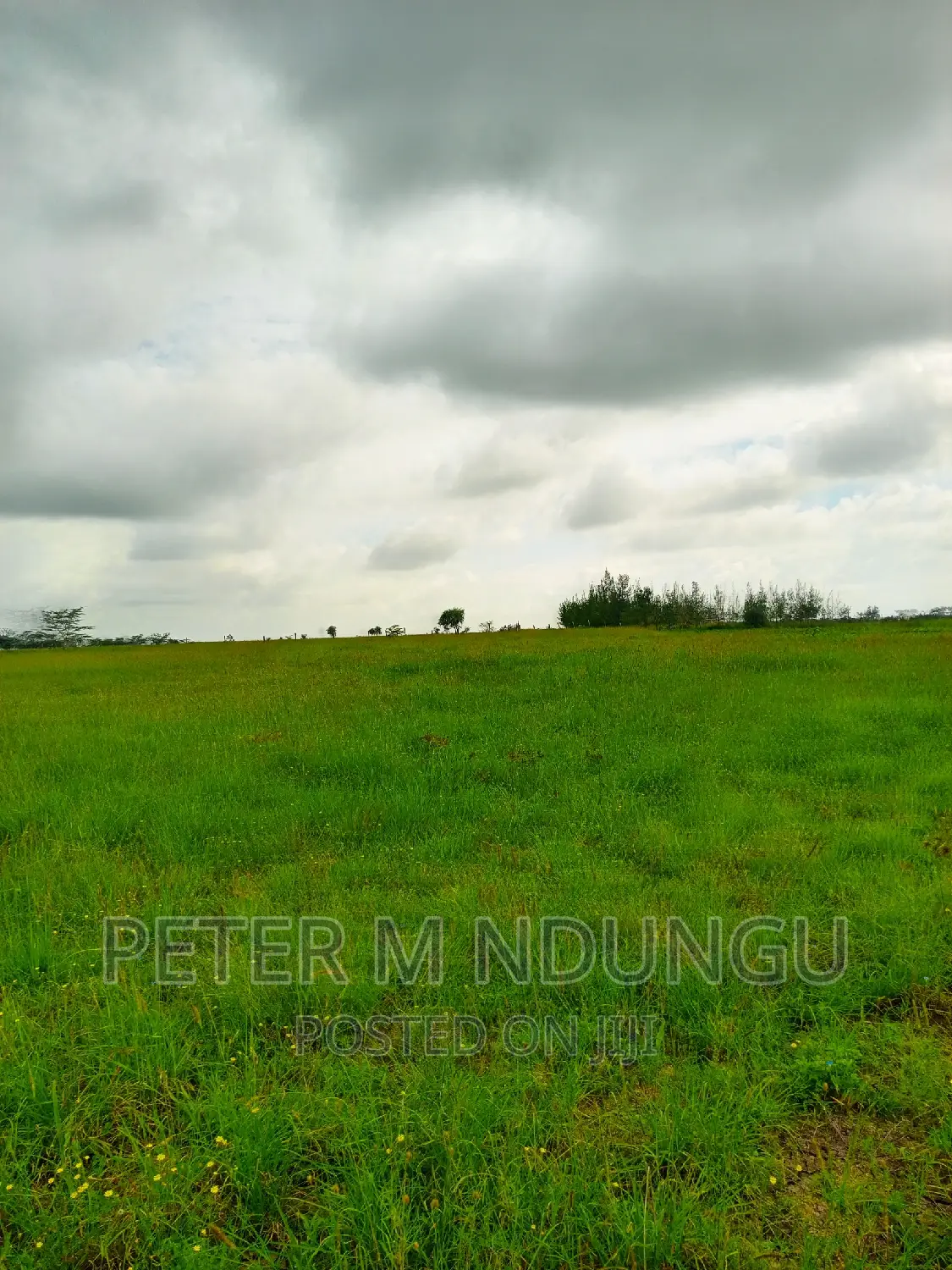 Prime Land on Sale , 10 Acres,Shorinke