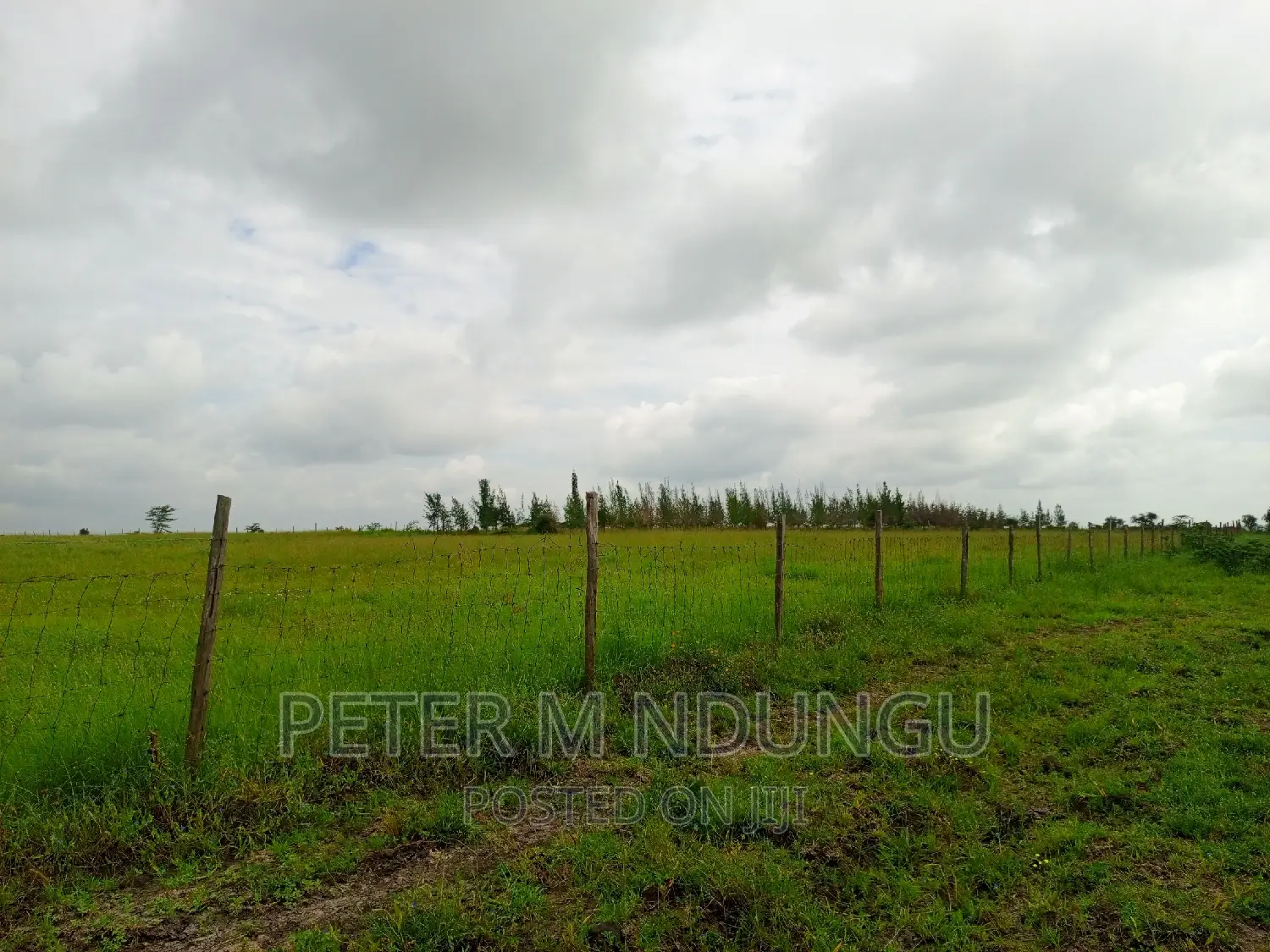 Prime Land on Sale , 10 Acres,Shorinke