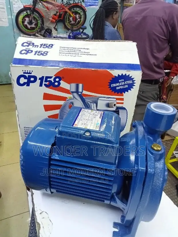 Pedrollo Booster Water Pump 0.5 HP, PKM 60