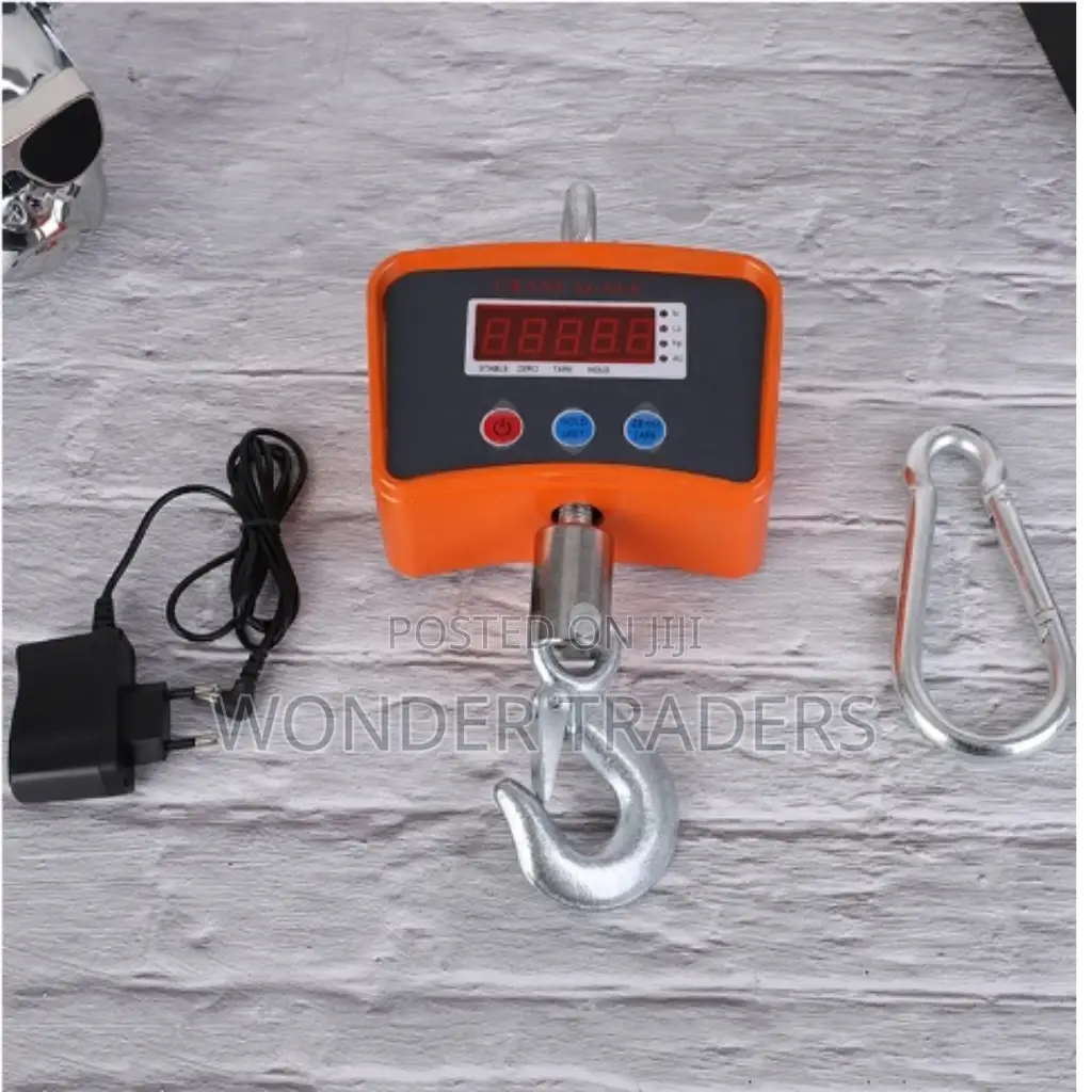 Premier 410 Crane Scale