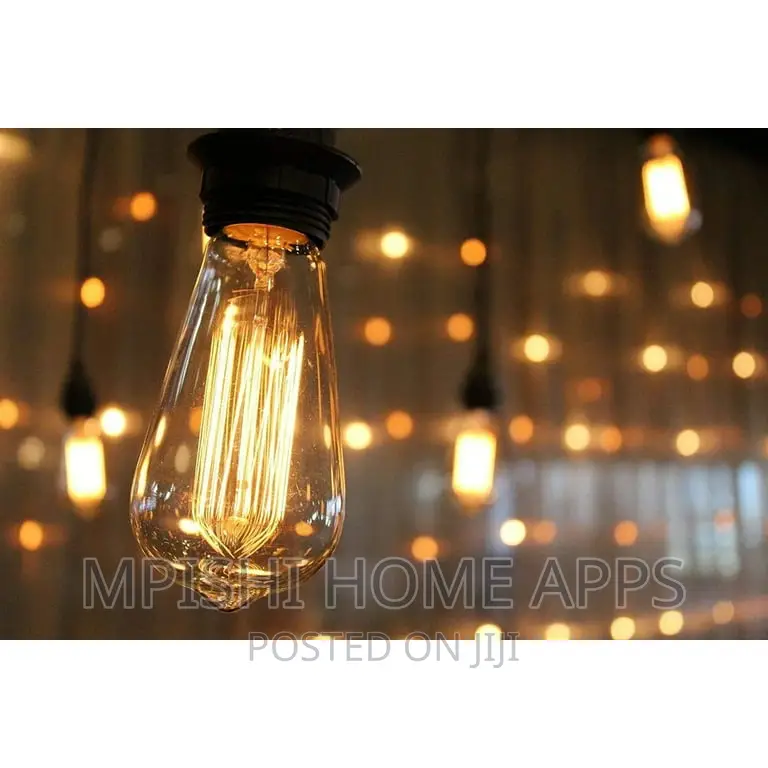10m String Light With Bulbs