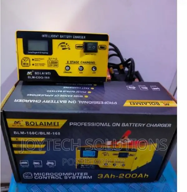 12v/24v Intelligent Pulse Repair Battery Charger