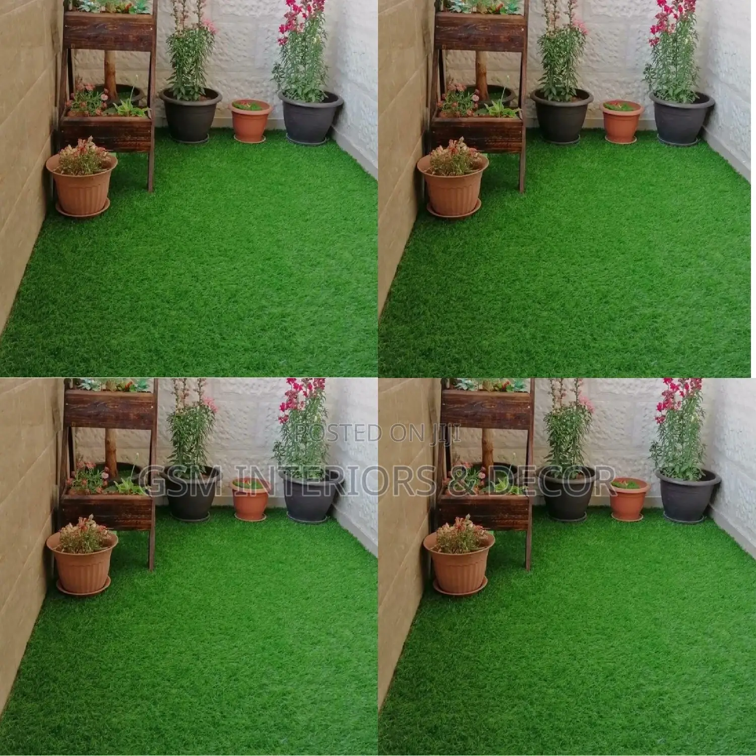 Grass Carpet Grass Carpet Grass Carpet Grass Carpet Grass