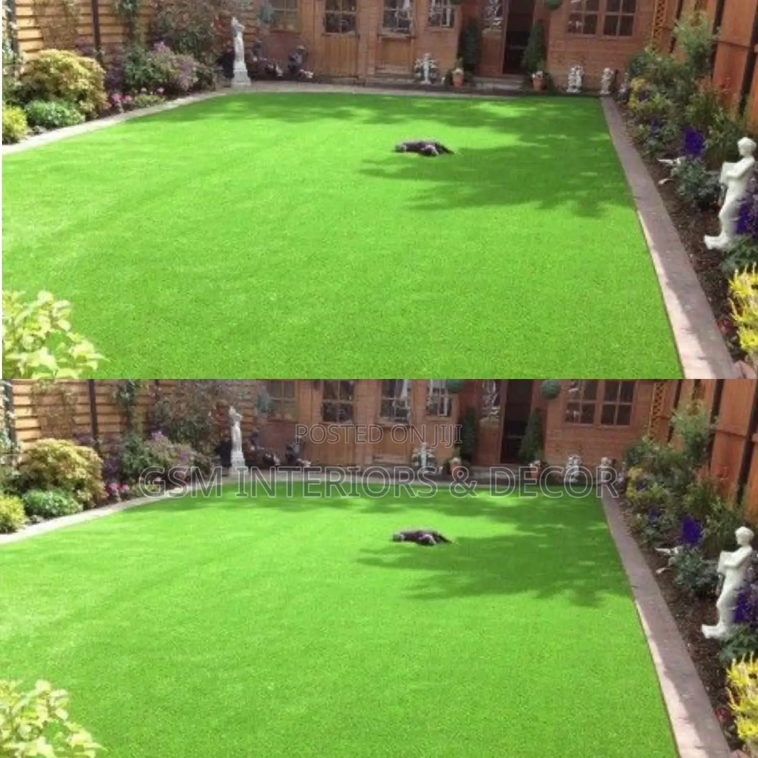 Grass Carpet Grass Carpet Grass Carpet Grass Carpet Grass