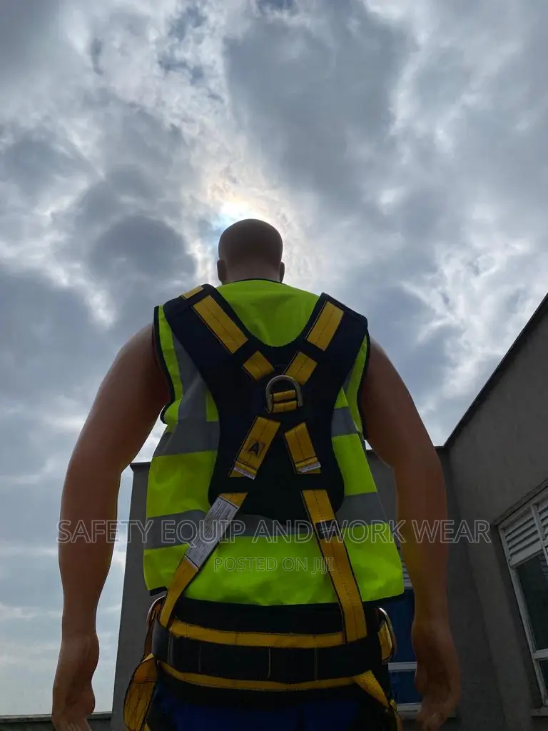 Panacea Full Body Safety Harness