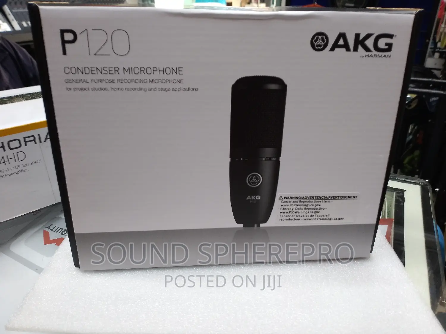 AKG P120 Condenser Microphone