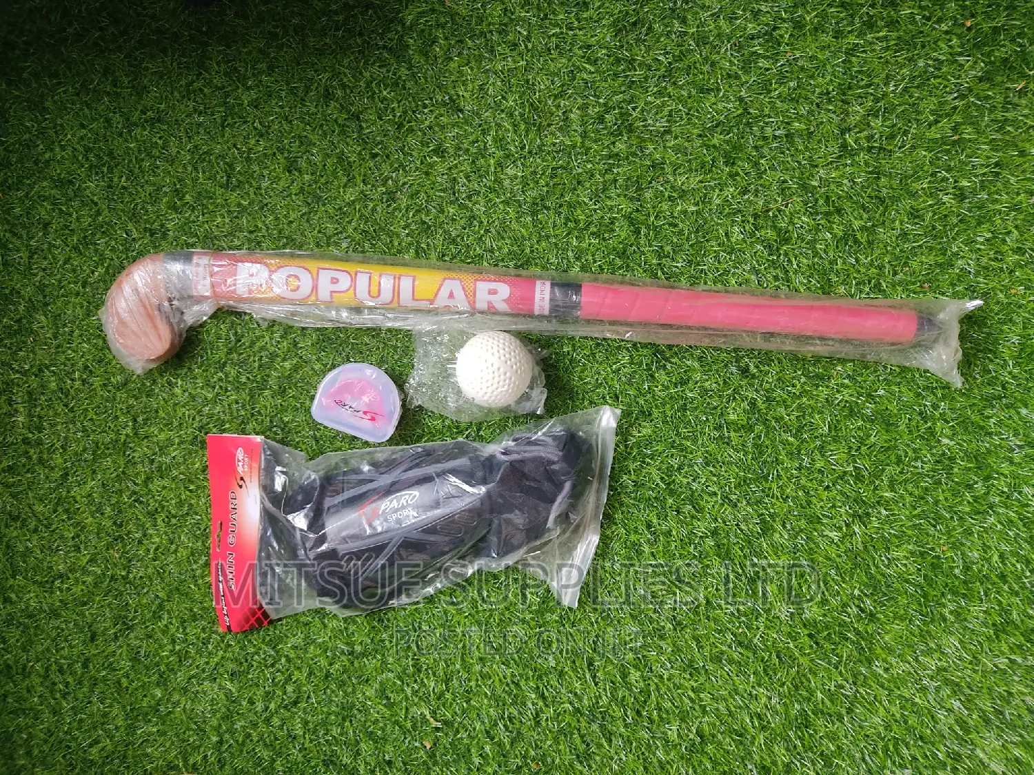 Hockey Stick, Shin Guards, Ball, Mouth Guard for Junior