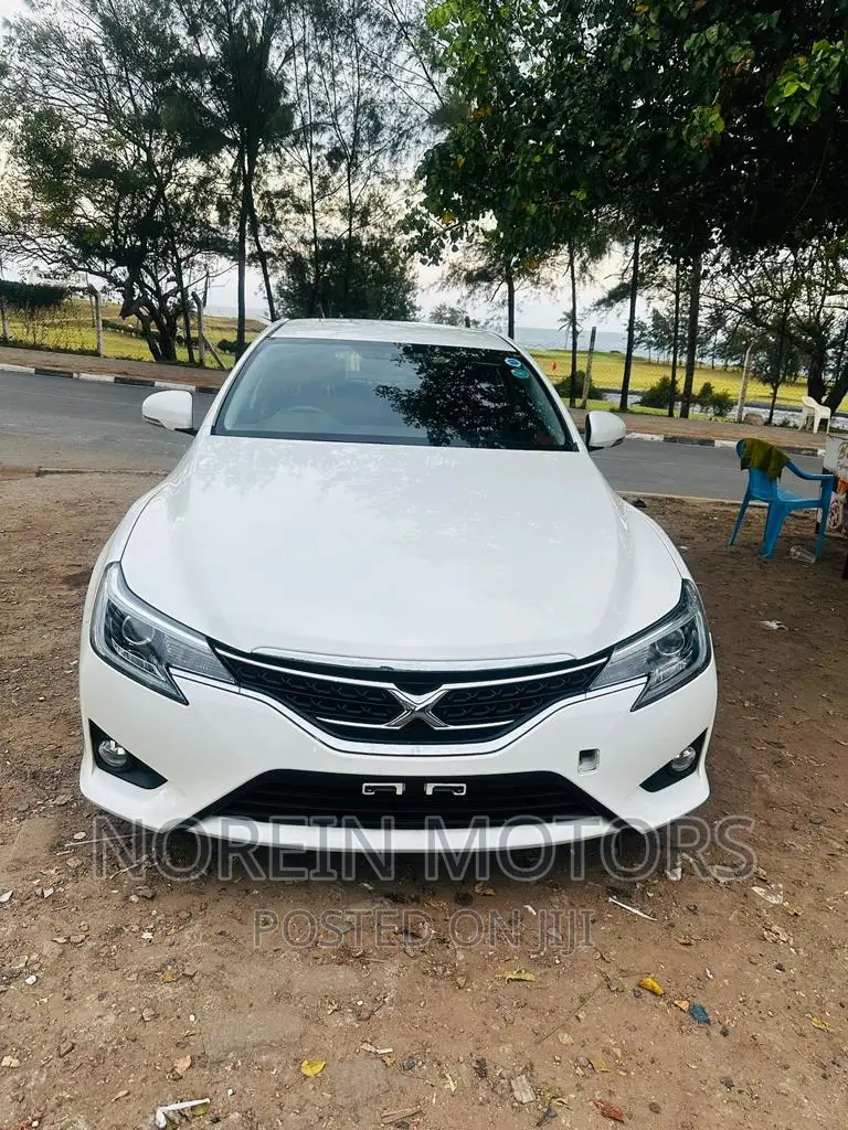 Toyota Mark X 2017 Pearl