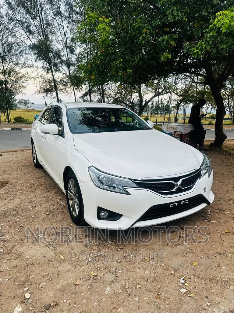Toyota Mark X 2017 Pearl