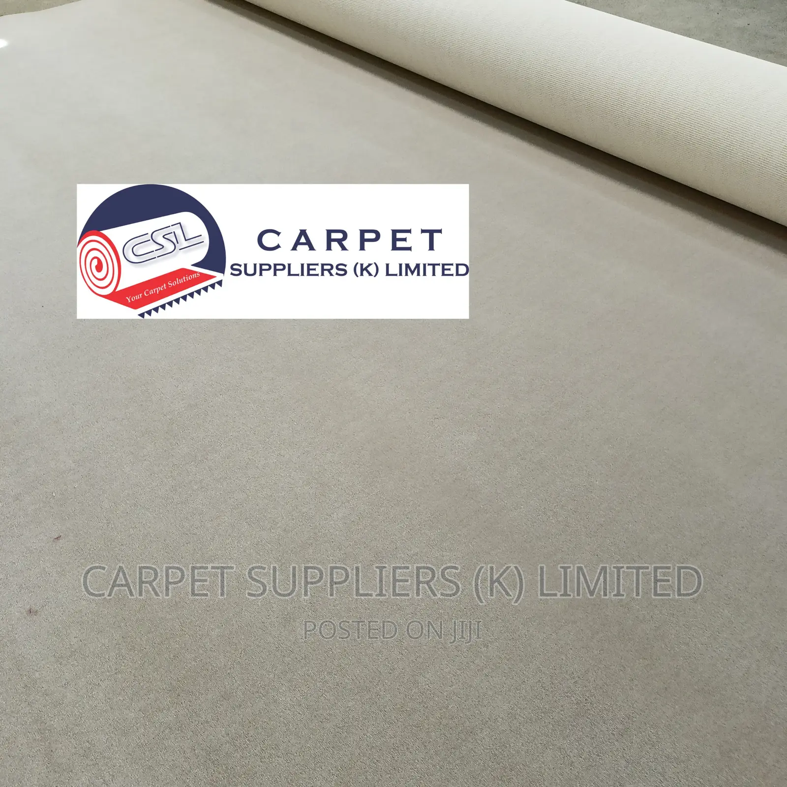 White Wall to Wall Carpet