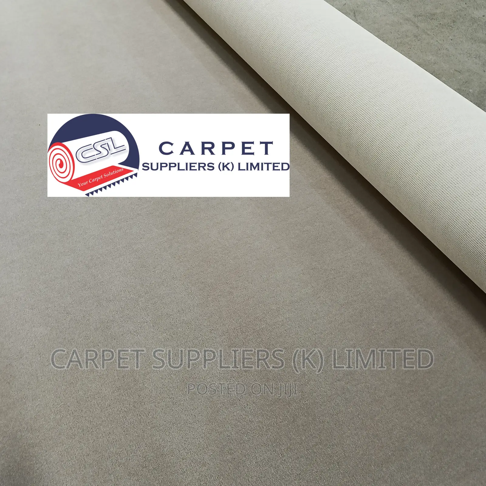 White Wall to Wall Carpet