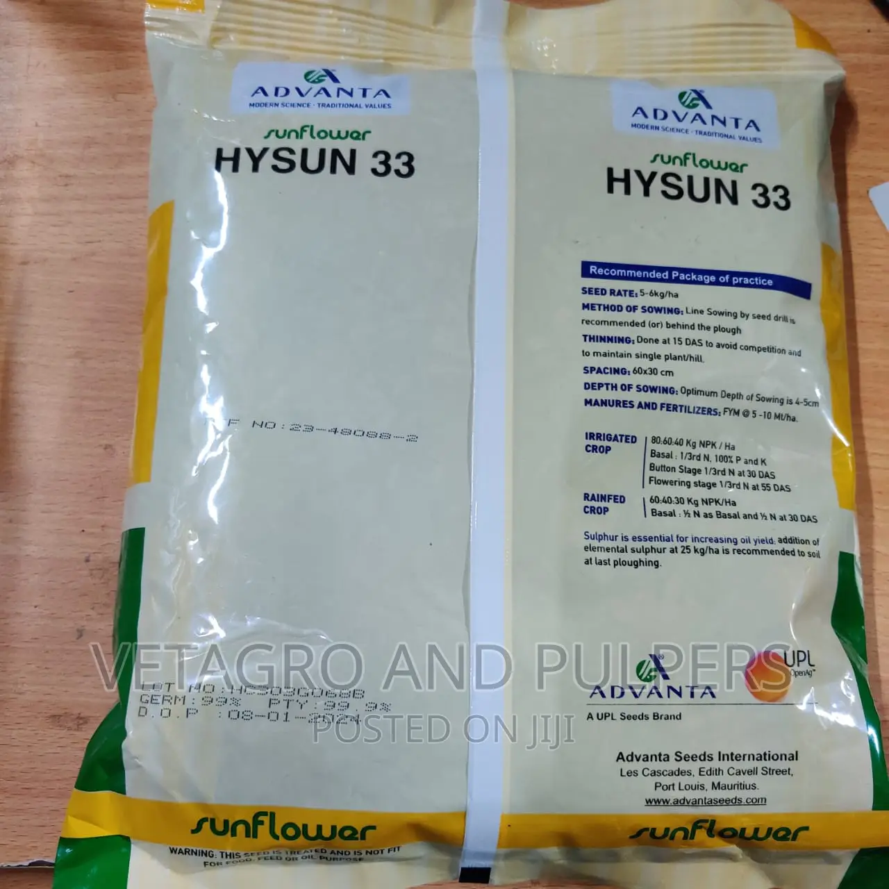 Sunflower Hysun 33 Seeds