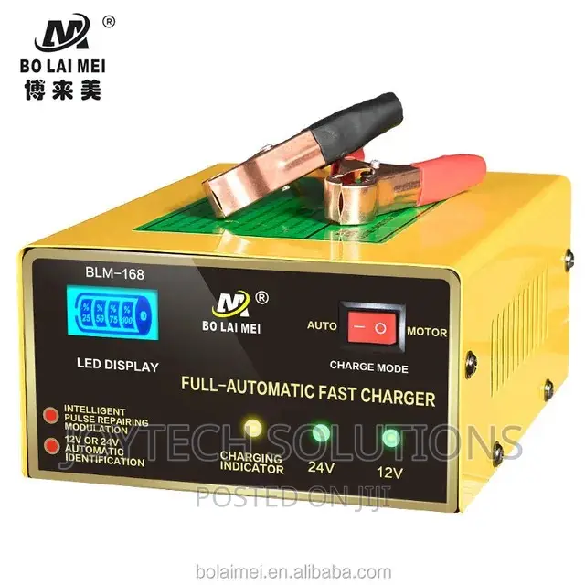 Original Hot  Selling BLM Battery Charger 12-24v
