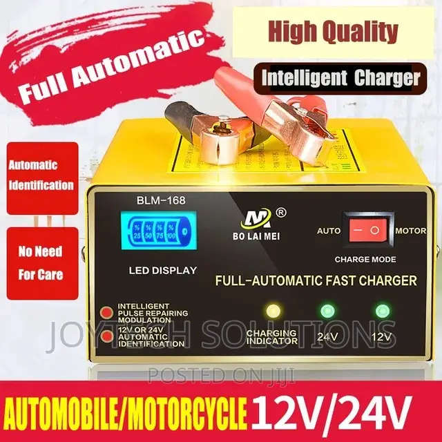 Original Hot  Selling BLM Battery Charger 12-24v