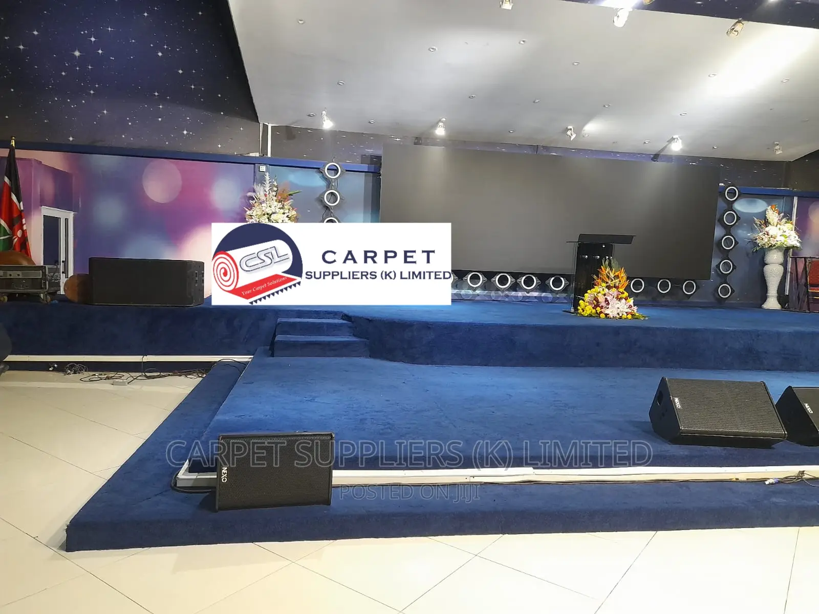 Blue Wall to Wall Carpet