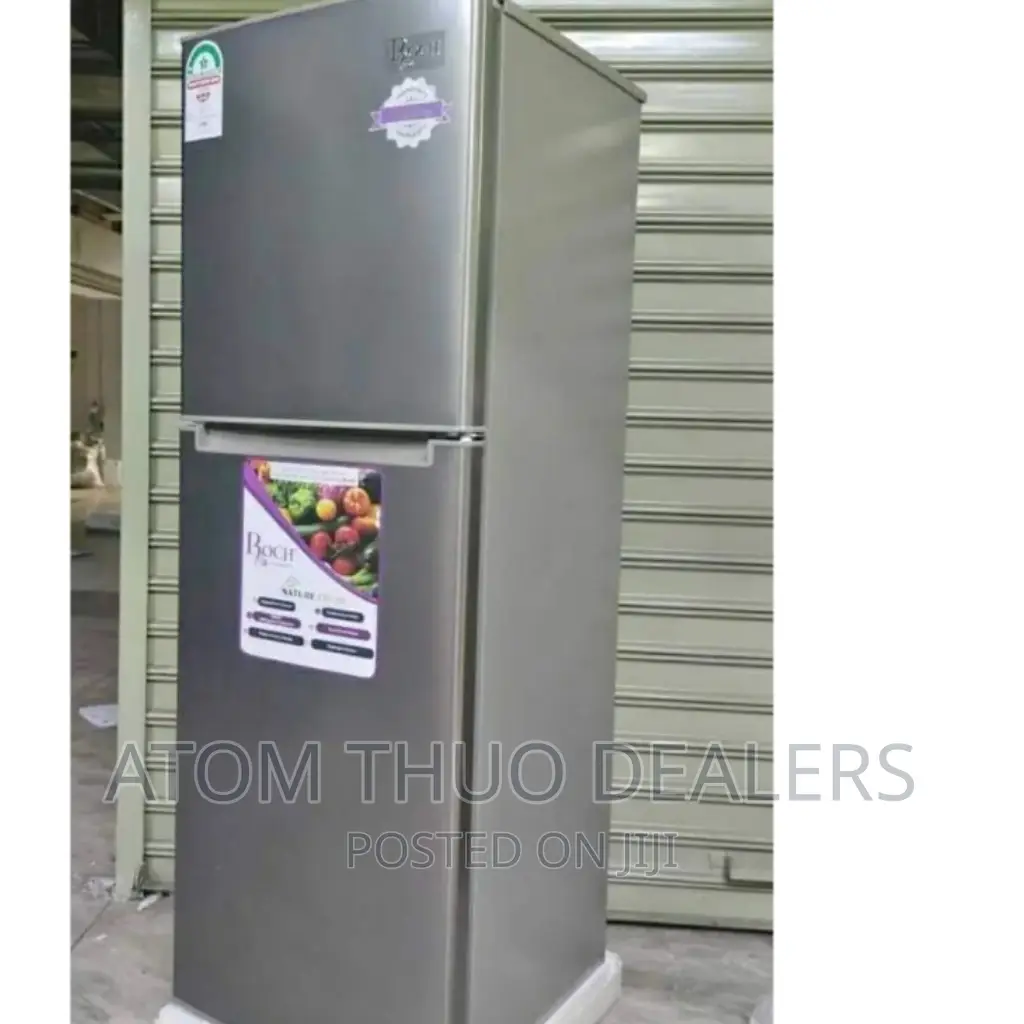 Silver 168 Litres 210dt Double Door Roch Fridge 