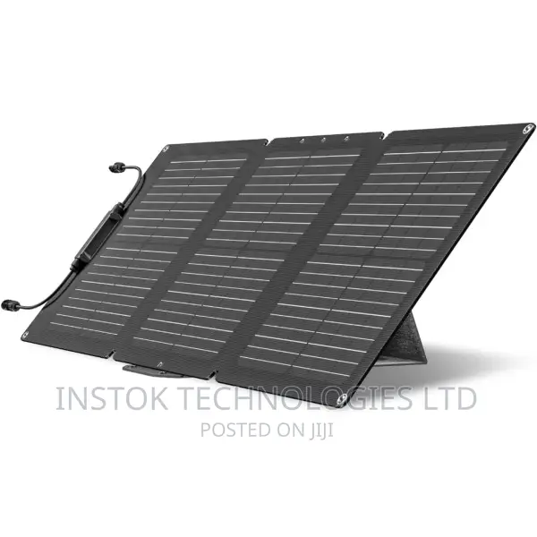Ecoflow 60W Portable Solar Panel