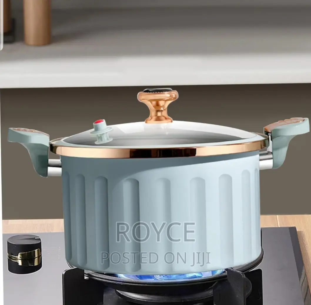 Micro Pressure Cooker Pot - 10L