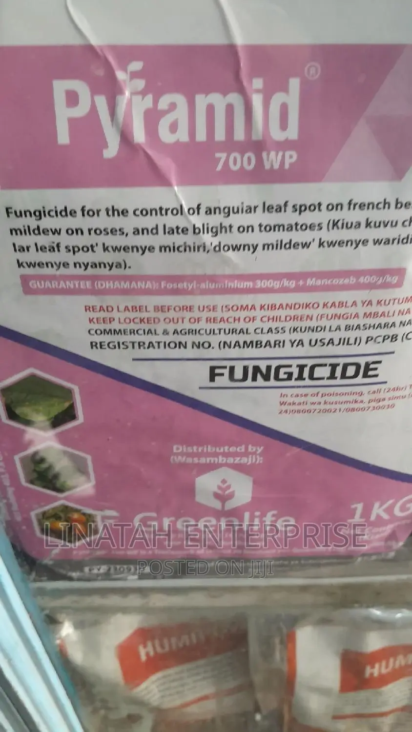 Pyramid 700wp 1kg Fungicide