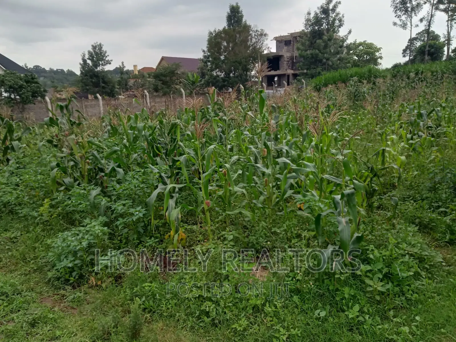 Prime Residential Quater (1⁄4) Acre Plot in Kerarapon, Ngong