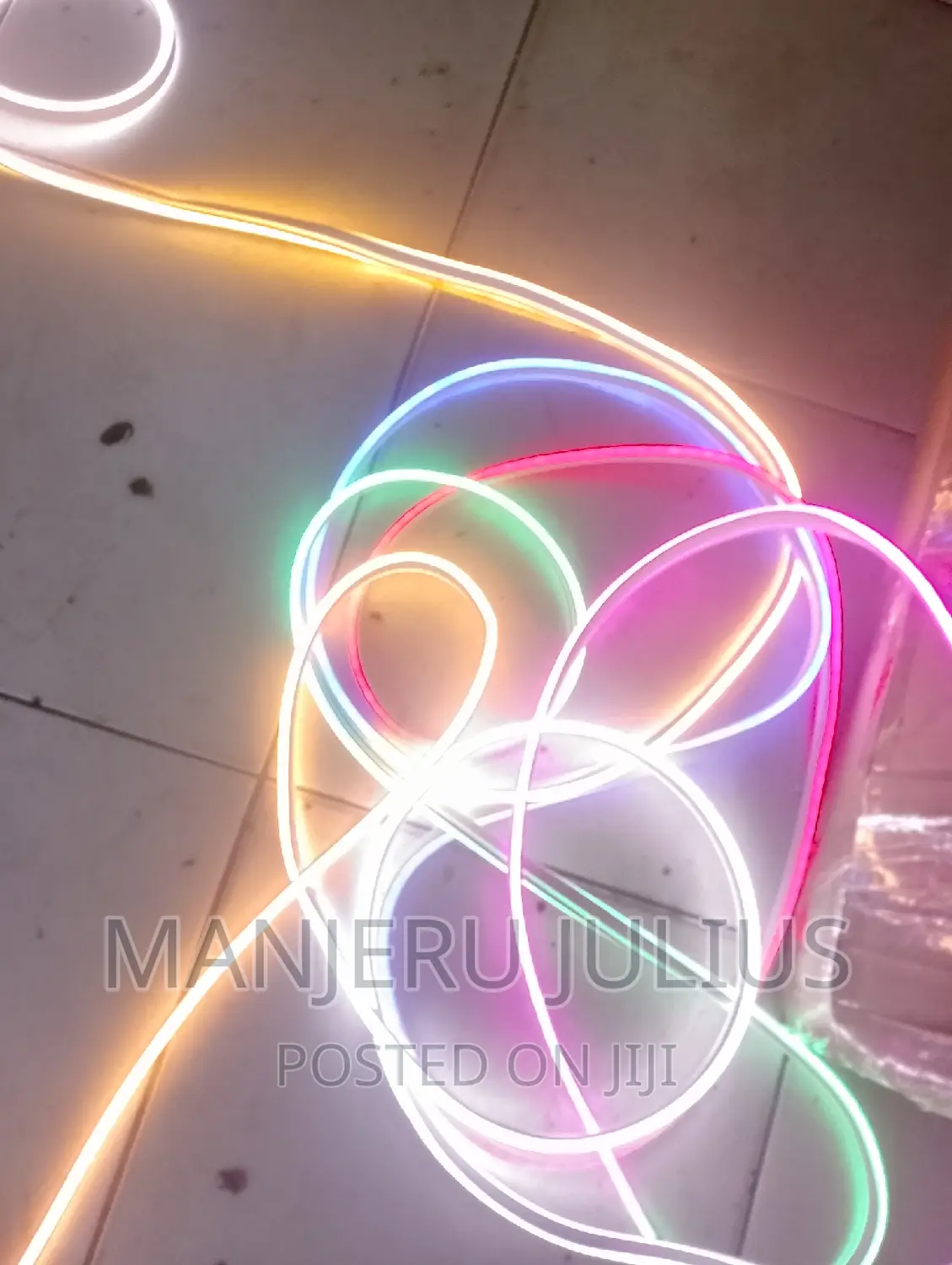 Multicolored Neon Snake Light