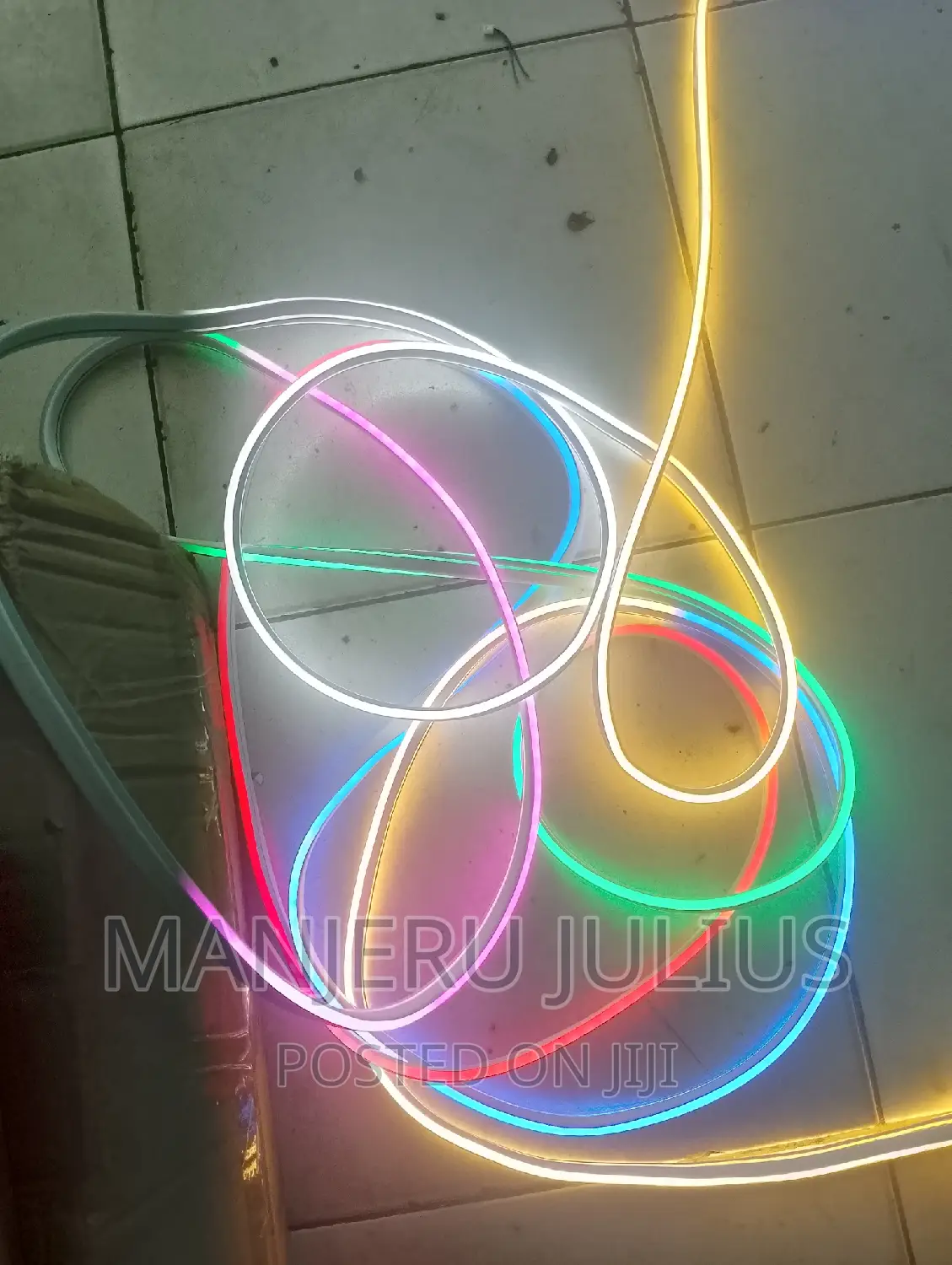 Multicolored Neon Snake Light