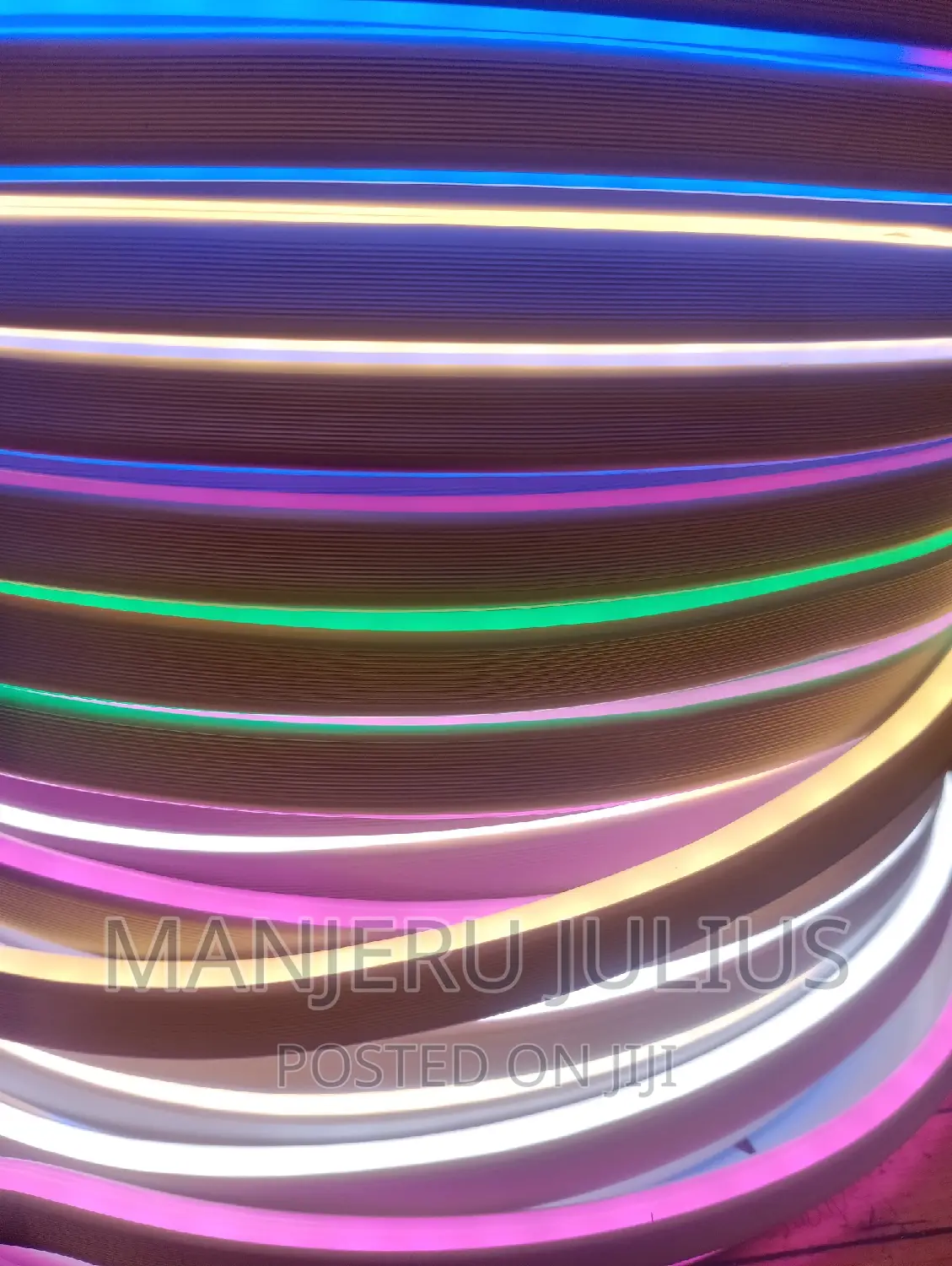 Multicolored Neon Snake Light