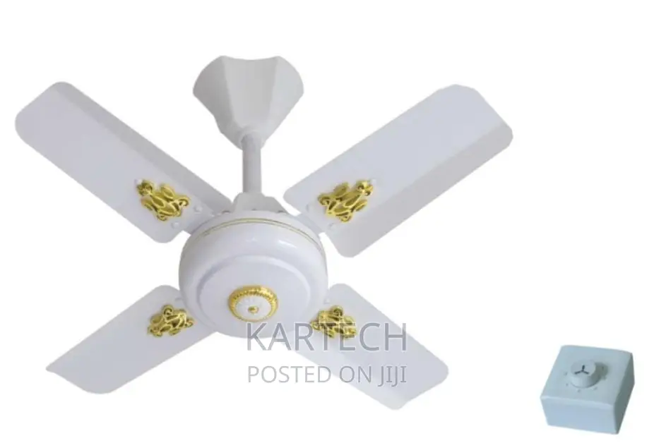 Windsor 24" Ceiling Fan
