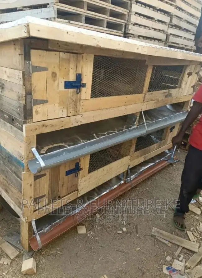 Rabbit House 0665