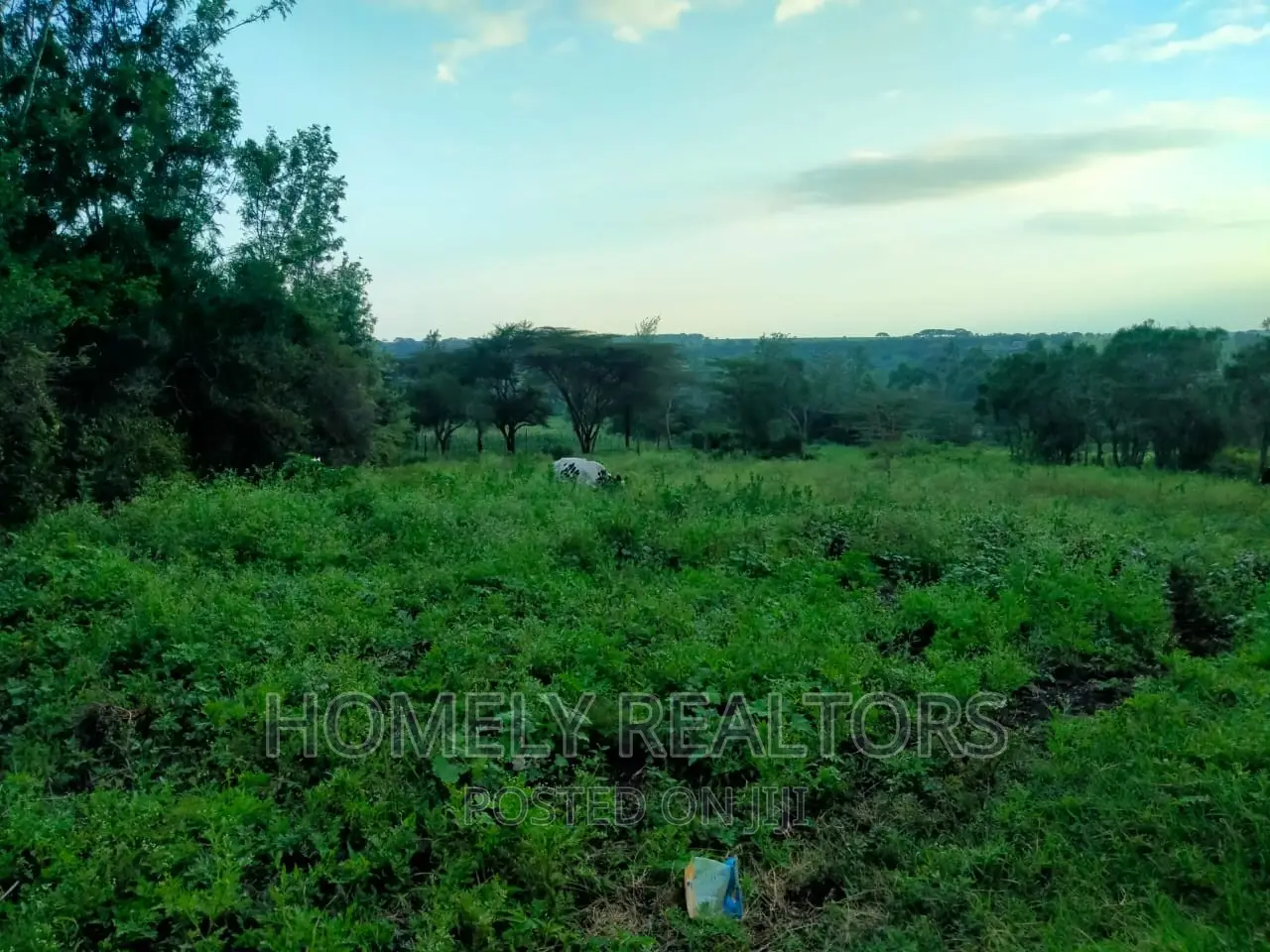 Half (1⁄2) Acre Residential Land in Kandisi, Ongata Rongai