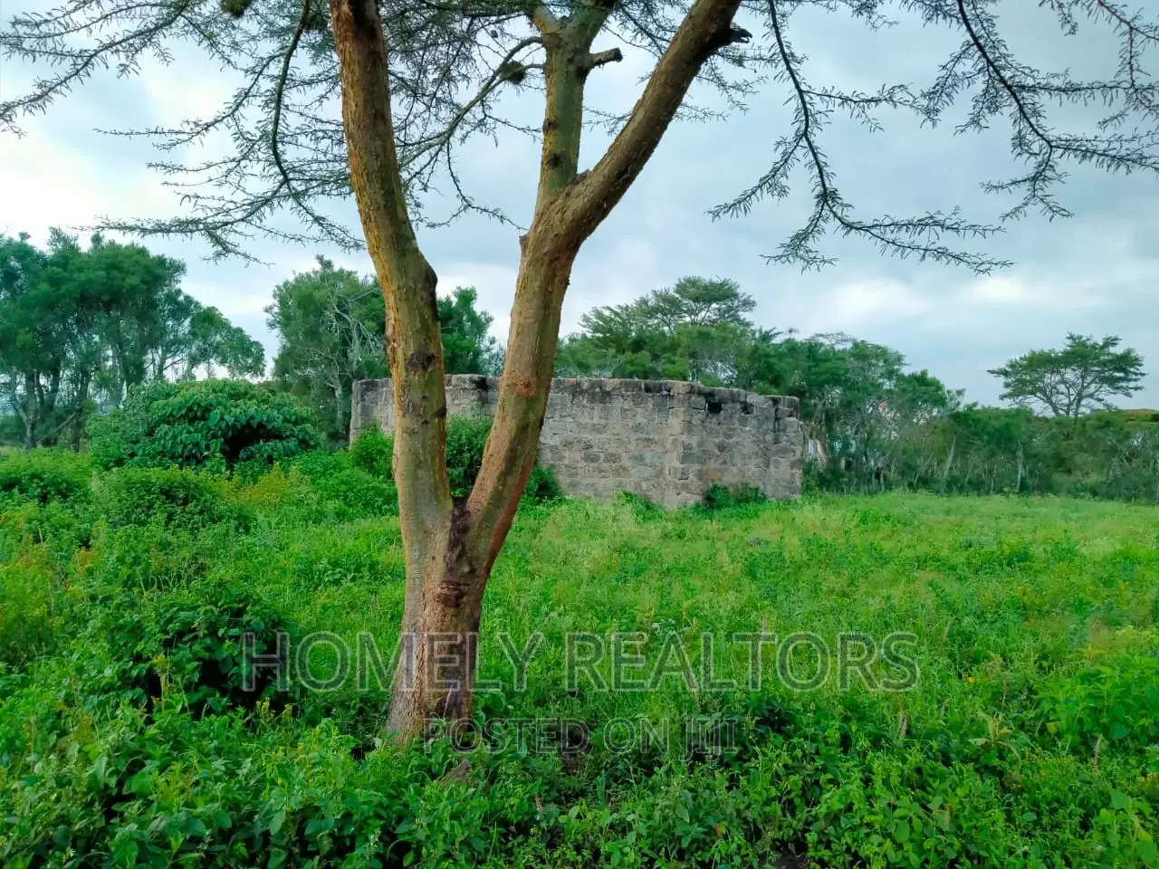A Quarter (1⁄2) Acre Plot on Kandisi Near Police Station