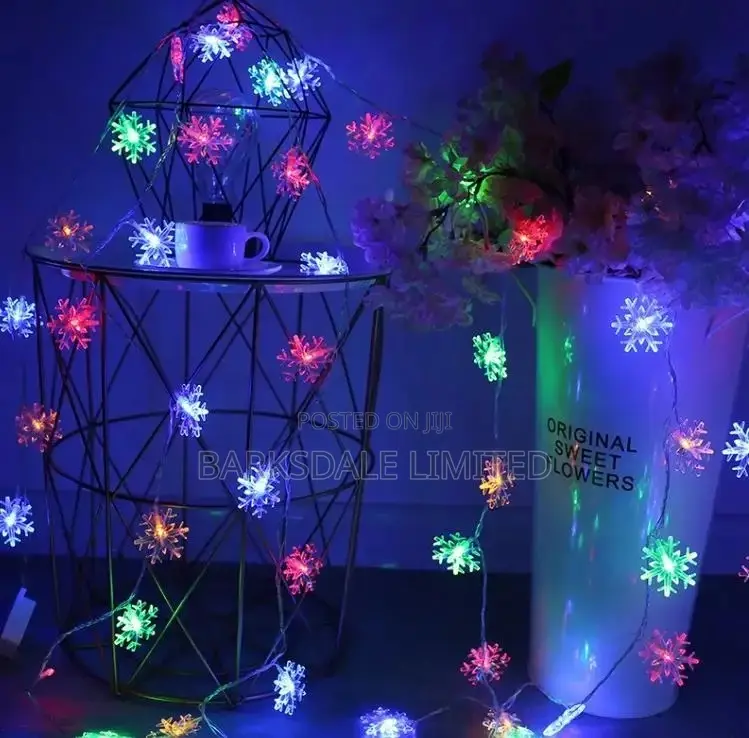 LED Fairy Snowflake String Christmas Lights 3M 240v Xmas