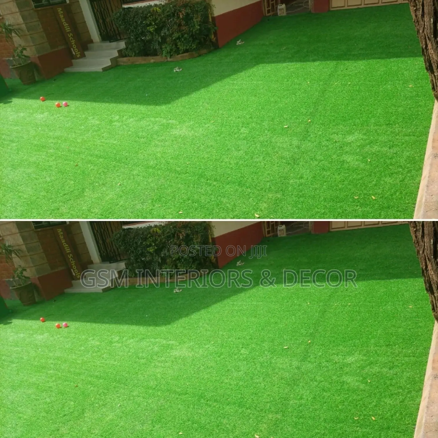 Grass Carpet Grass Carpet Grass Carpet Grass Carpet Grass