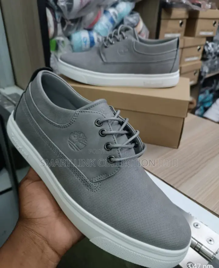 Timberland Lacoste Casuals 