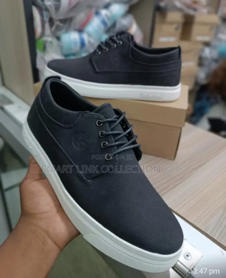 Timberland Lacoste Casuals 