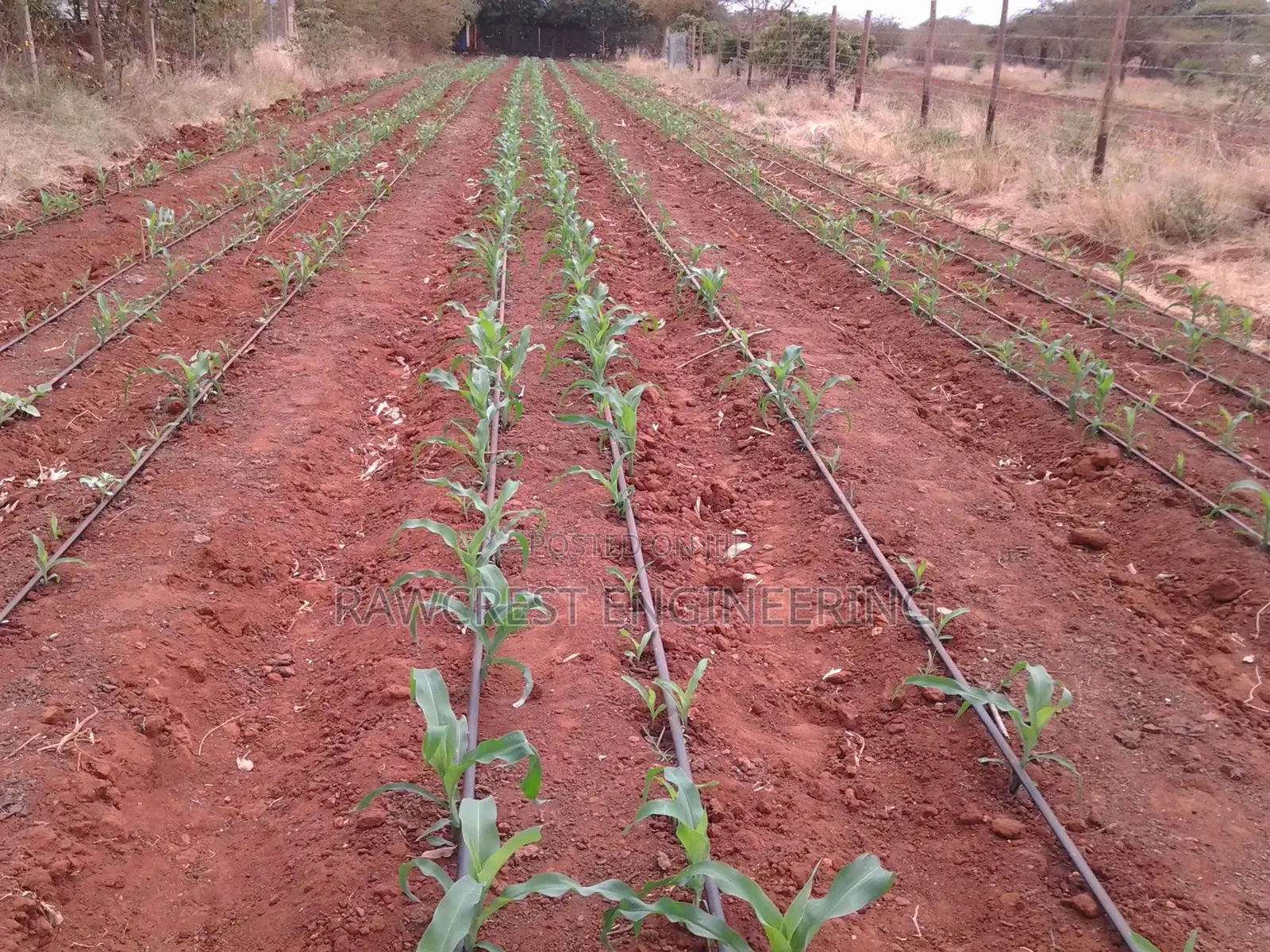 Water Harvesting Services at Ruaka