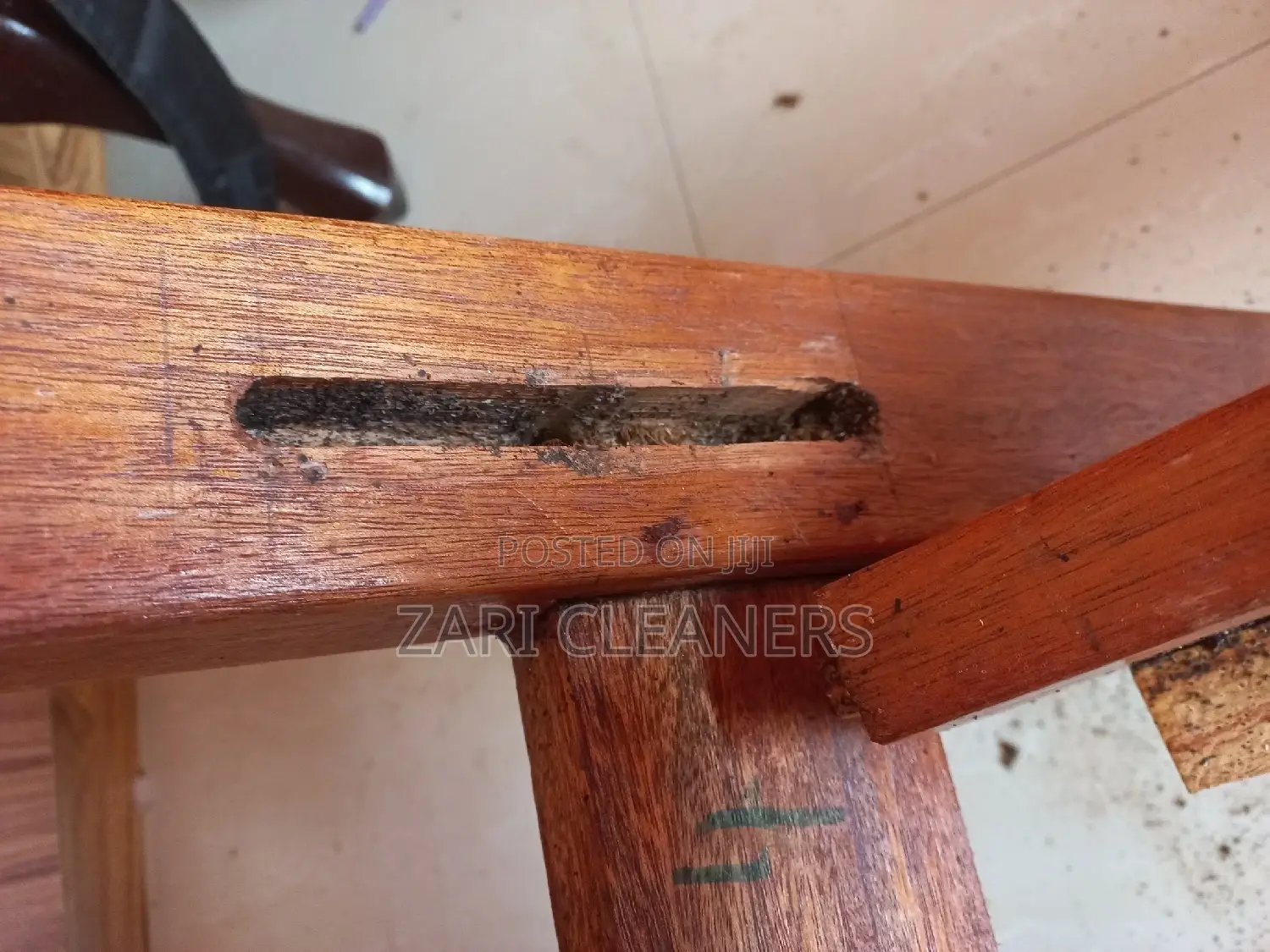 Comprehensive Fumigation Solutions for Bedbugs